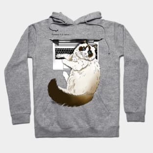 Warm Laptop Cat Hoodie